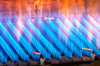 Leac A Li gas fired boilers